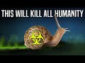 That’s Why Snails Kill 200,000 People Yearly