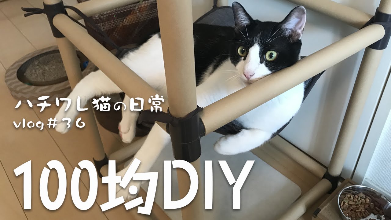 てる様専用 ねこのハンモック ハンドメイド ネット販壳 - animalplaza