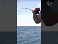 XOS GT'n'Doggie Jigging Rods #Shorts