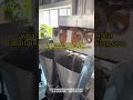 fishing baits vacuum pouch packing machine#packingmachine#vacuumpackingmachine#powderpackingmachine