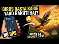 👉 "Birds ka secret GPS 😳 | Kaise dhund leti hain apna rasta?#birdmigration