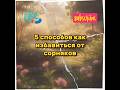5 способов избавиться от сорняков Лайфхаки для сада🌽🥦🥬💪🍅 #дача #лайфхаки #отдых #шортс #сад #помощь