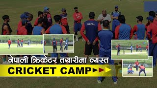 नेपाली क्रिकेटर तयारीमा ब्यस्त | Cricket training team Training