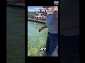 Why Did She Yell At The Ducks Why Did She Yell At The Ducks