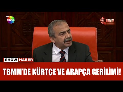 Meclis'te ''Kürtçe - Arapça'' tartışması!