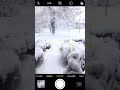 iPhone Photography in The Snow