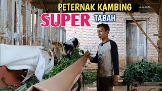 Kisah Hidup Peternak Kambing Yang Menyayat Hati