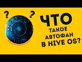 Что такое автофан в Hive OS?