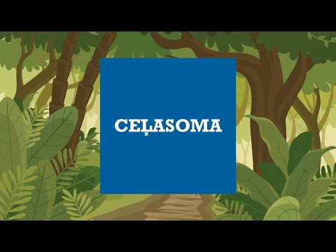 Rīgas Sv. Pāvila Draudzes - Video Svētdienasskola CEĻASOMA | 18. Pēdējā Epizode