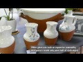 view Euskal Zeramika (Basque Pottery) digital asset number 1