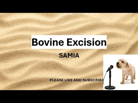 Bovine Excision BY: SAMIA​ (LYRICS)