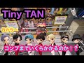 [BTS]TinyTANめっちゃ可愛い！何手でBカラーをコンプできるのか！？パート1【クレーンゲーム】【BTS】