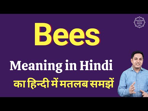 A Swarm Of Bees Meaning In Hindi
