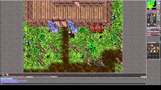 Tibia #074 - Explorer Society Quest - Butterfly Hunt & Plant Collection
