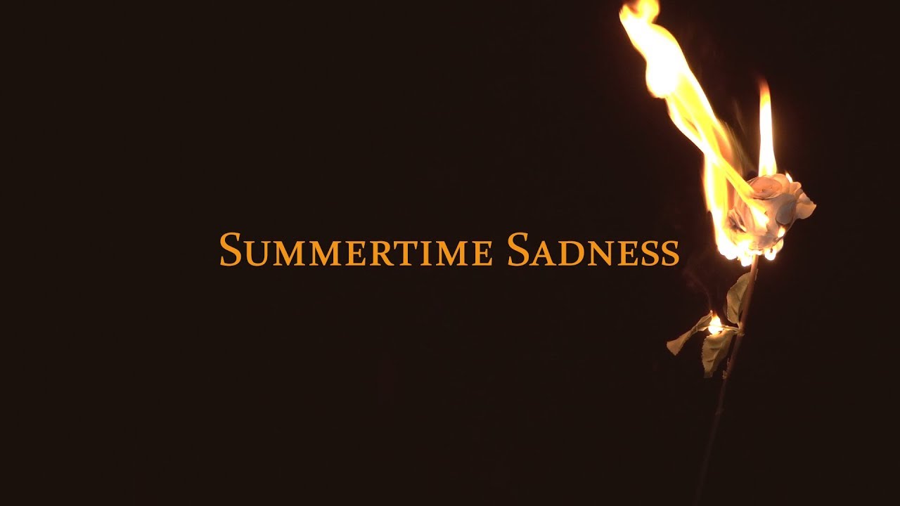 Gunned Down Horses - Summertime Sadness ft. Niska (live)