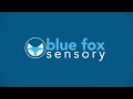 Welcome to Blue Fox Sensory!