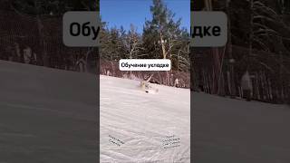 сноуборд купить сноуборд ботинки для сноуборда Бобровый лог горнолыжка как кататься на сноуборде