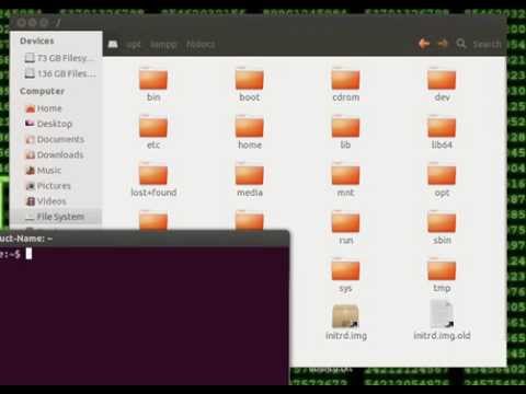 Ubuntu: Как открыть доступ к системным папкам \ скинуть файлы в Xampp htdocs