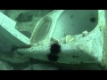 【動画コンクール2012】　潜水士が記録した東日本大震災