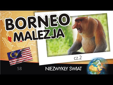 Wideo: Najlepszy czas na wizytę na Borneo