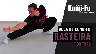 AULA DE KUNG-FU | RASTEIRA POR TRÁS NA BASE DA SERPENTE "Back Sweep"