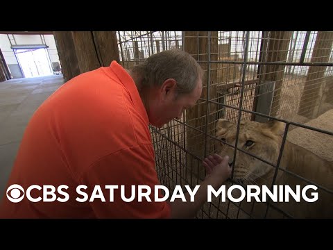 Patt Craig’s quest to rescue wild animals turned into pets