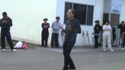 Chiu Chuk Kai Cloudy Palms 132 forms Front View - Triệu Gia Thái Cực Chưởng 132 thức