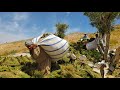 Nomadic Life: Nomadic Winter Preparation 🌾 | Nomadic Traditional Livestock Care 🐑
