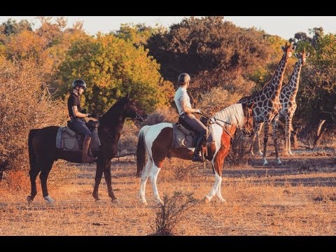 horse-safari-in-africa...-close-wildlife-encounters*-part-2