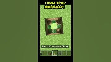 Minecraft Troll Trap Part-2 #shorts #minecraft