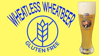 Gluten Free Hefeweizen - Grain to Glass