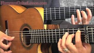 Bulerias sample lesson Advanced Level by Jose Tanaka  Flamenco Guitar Lesson「フラメンコギターレッスン」 chords