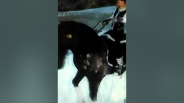 SSO - Lean On Music Video :) For my club mates