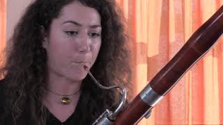 Vivaldi Bassoon Concerto in C Major RV 473, I. Allegro