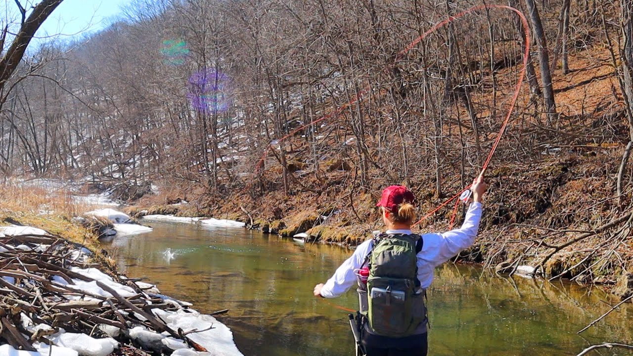 DRY FLY ACTION WE MATCHED THE HATCH FLY FISHING DRIFTLESS REGION