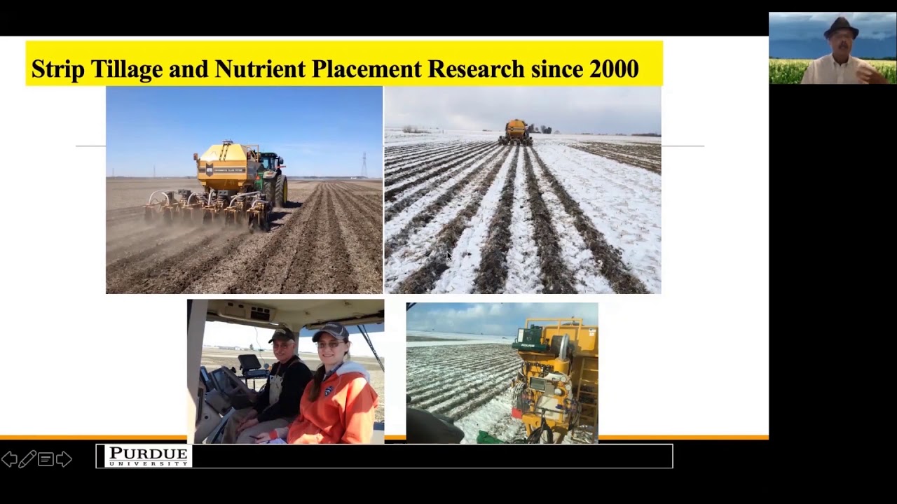 Optimum strip-till placement: soil, nutrient, and crop considerations