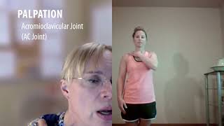 Virtual Shoulder Examination