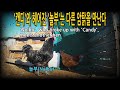 #418. &#39;캔디&#39;에게 버림받은 &#39;놀부&#39;는 다른 암탉을 만난다. #닭