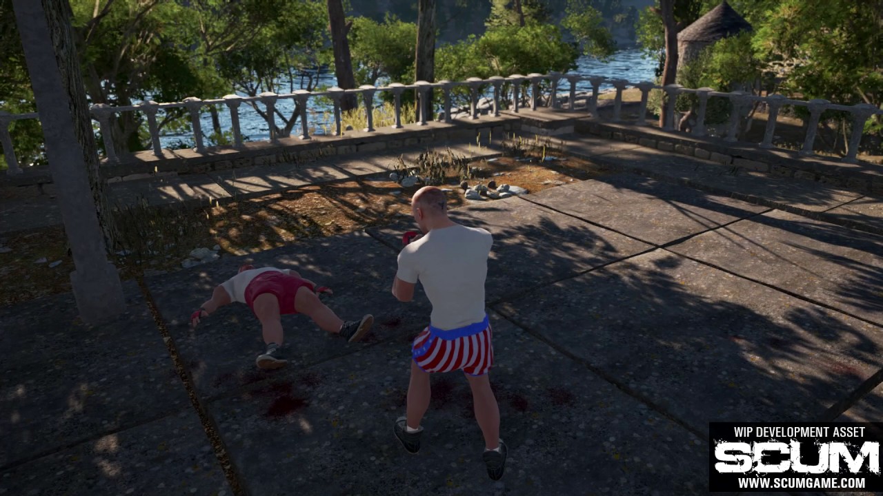 SCUM - Unarmed combat skill