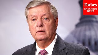 BREAKING: Lindsey Graham Must Testify Before Georgia Grand Jury Investigating Trump, Judge Says