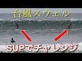 台風波に韓国から来たイケメンとSUPでチャレンジ!