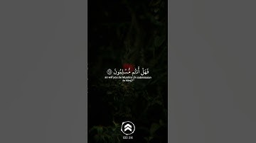قران كريم
