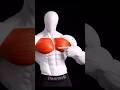 Best home chest #workout
