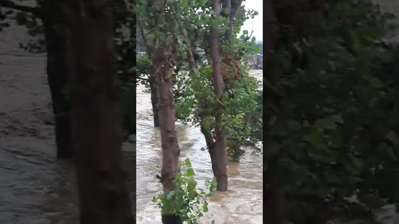 Havey Flood In Lower Dir || Flood 2022 In Lower Dir Pakistan