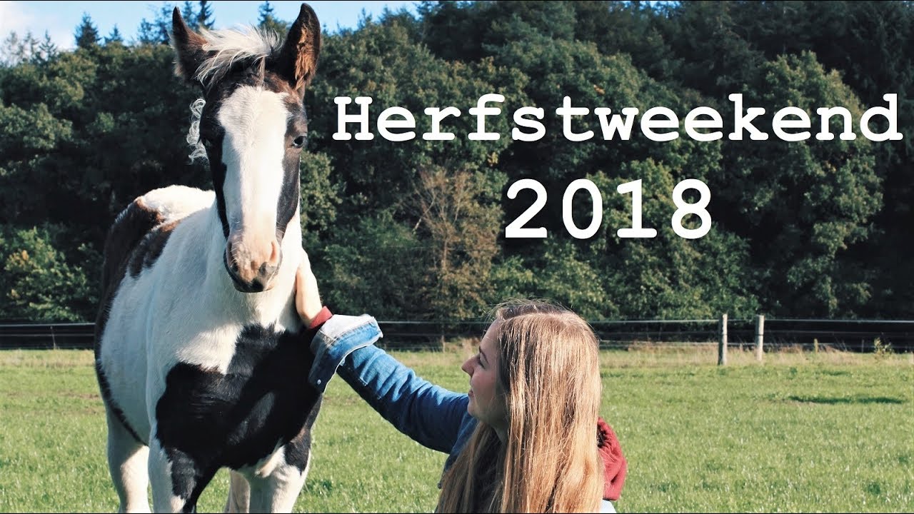 Herfstweekend 2018 RC het Fjordenpaard | Karlijn