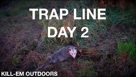 Trap Line Day 2