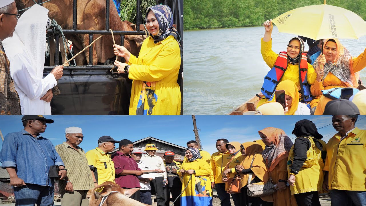 Ketua Golkar Langkat Tiorita Br Surbakti Serahkan Qurban Sapi di Tuan Guru Besilam dan Jaring Halus