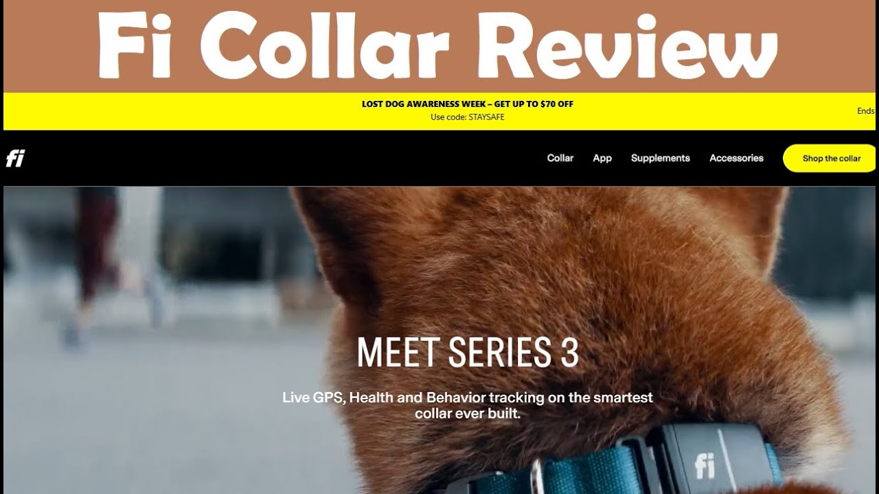 Fi GPS Dog Collar Review – Is Legit and Does It Really Work?