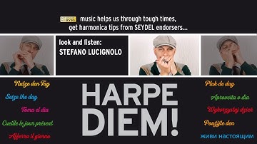 HARPE DIEM! Simple Chugging Rhythm for beginners with Stefano Lucignolo (Italy) - SEYDEL