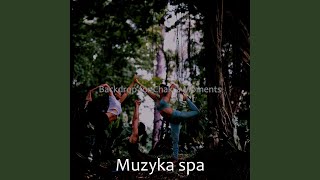 Sublime Ambience for Guided Meditations